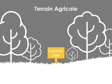 Agricultural Land