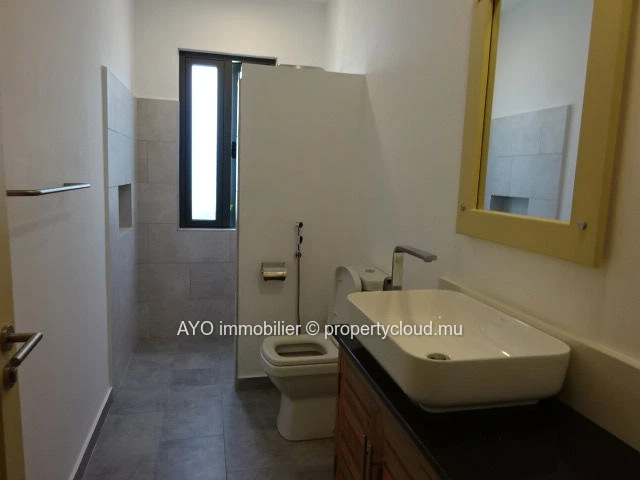 Brand new modern home with swimming pool close to local amenities