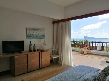 3 Bedroom Penthouse